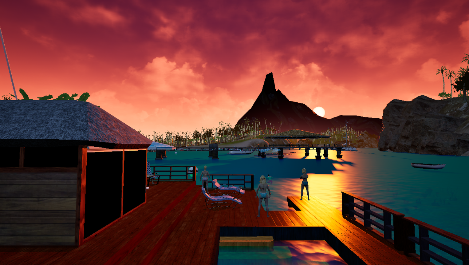 ZWIM environment
